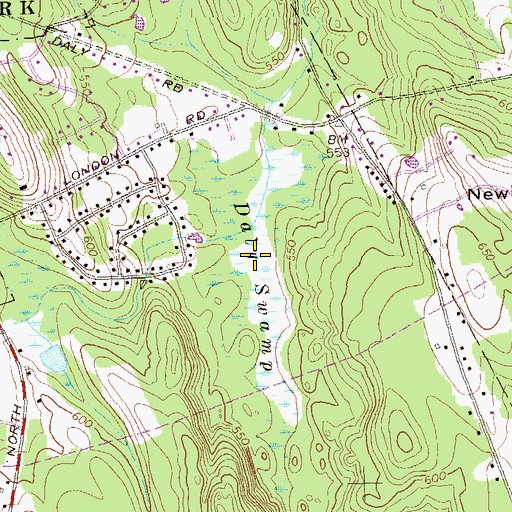 Topographic Map of Daly Swamp, CT