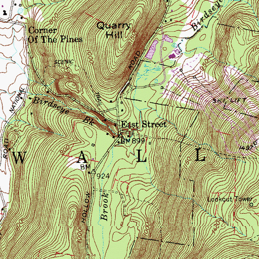 Topographic Map of East Street, CT