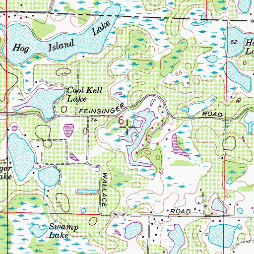 Topographic Map of Lake New Ryan, FL