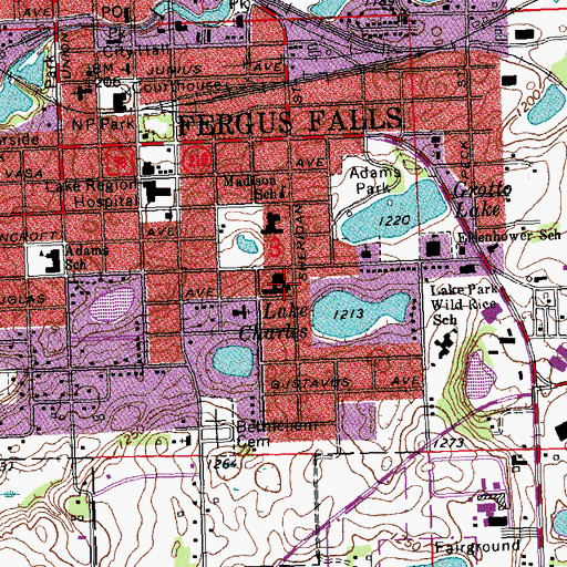 Topographic Map of Pioneer Home, MN