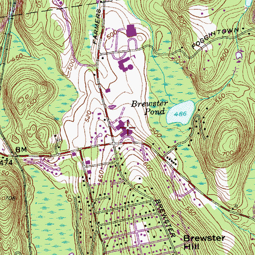Topographic Map of Henry W Wells Middle School, NY
