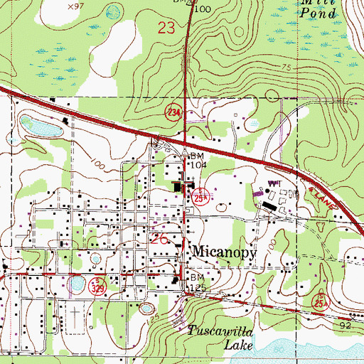 Topographic Map of Micanopy Town Hall, FL