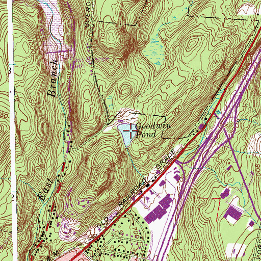 Topographic Map of Goodwin Pond, CT