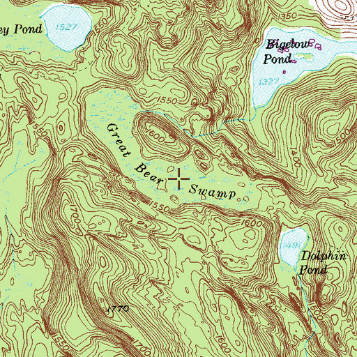 Topographic Map of Great Bear Swamp, CT