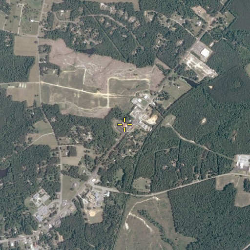 Aerial/Satellite Image of Dinwiddie Volunteer Fire and Emergency Medical Services Station 1, VA