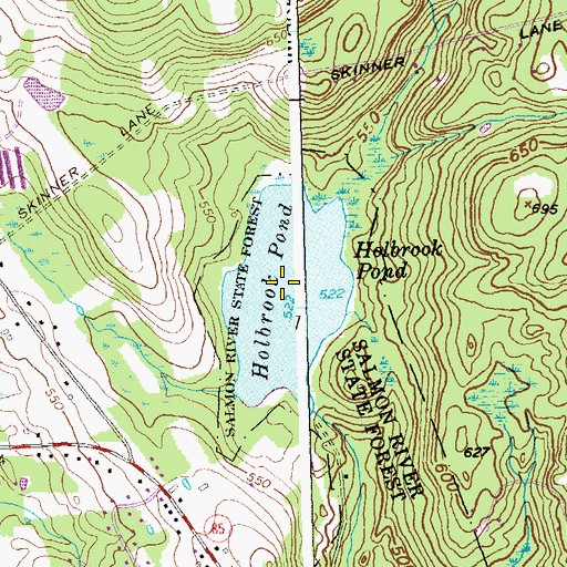 Topographic Map of Holbrook Pond, CT