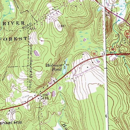 Topographic Map of Holman Pond, CT