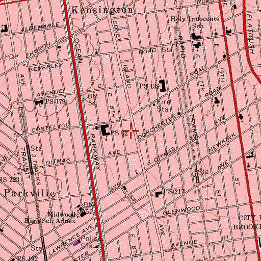 Topographic Map of Bonim Lamokom, NY
