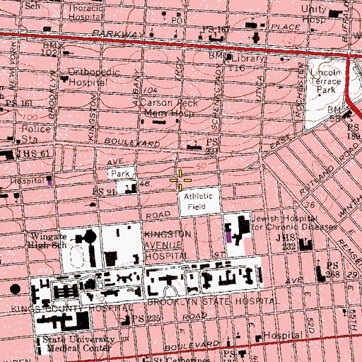 Topographic Map of Intermediate School 391, NY