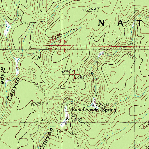 Topographic Map of Kanabownits Lookout Tower, AZ