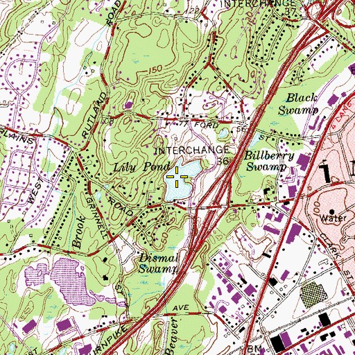Topographic Map of Lily Pond, CT