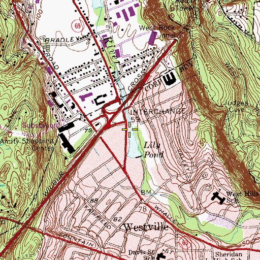 Topographic Map of Lily Pond, CT