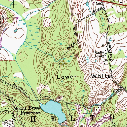 Topographic Map of Lower White Hills, CT