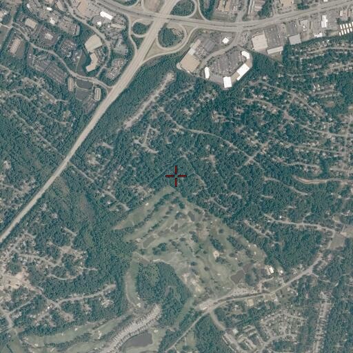 Aerial/Satellite Image of Charles City Volunteer Fire Department Station Number 3, VA