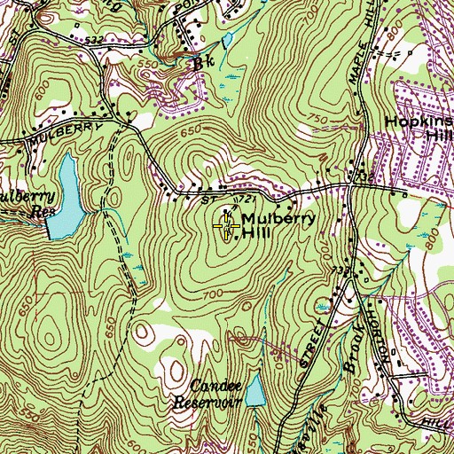 Topographic Map of Mulberry Hill, CT