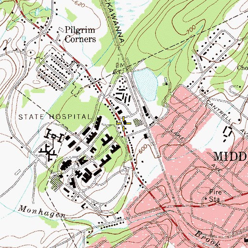 Topographic Map of Horton Dairy, NY
