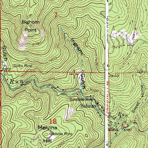 Topographic Map of Salina Cemetery, CO