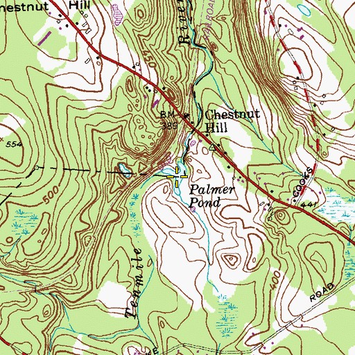 Topographic Map of Palmer Pond, CT