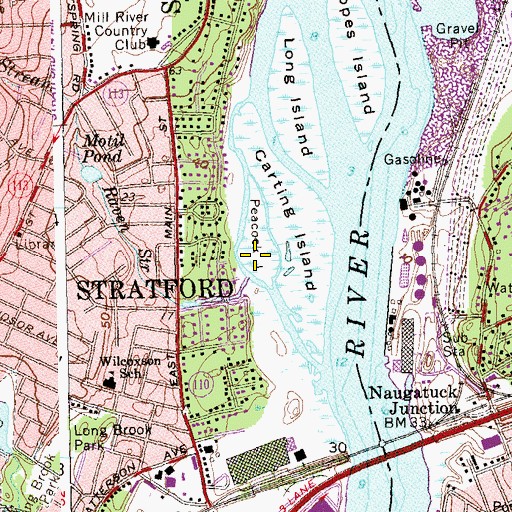 Topographic Map of Peacock Island, CT