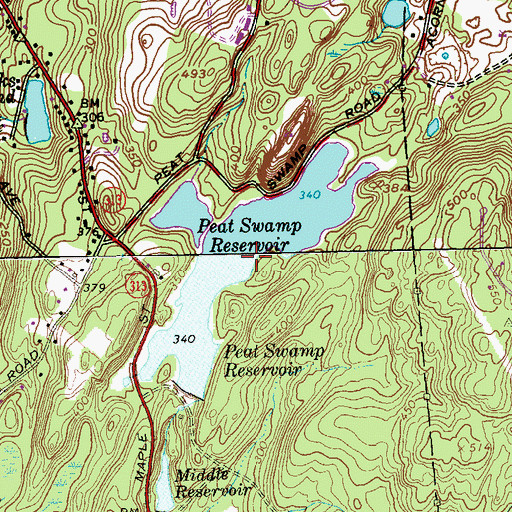 Topographic Map of Peat Swamp Reservoir, CT