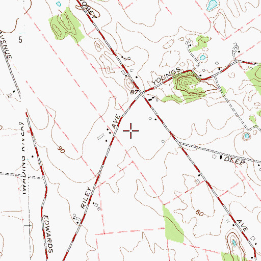 Topographic Map of Riley Avenue Elementary School, NY