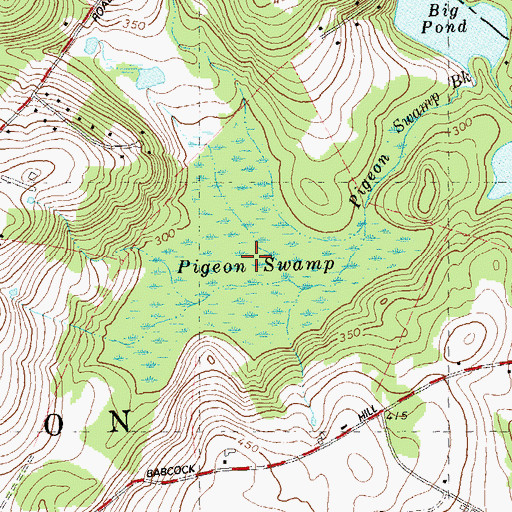 Topographic Map of Pigeon Swamp, CT