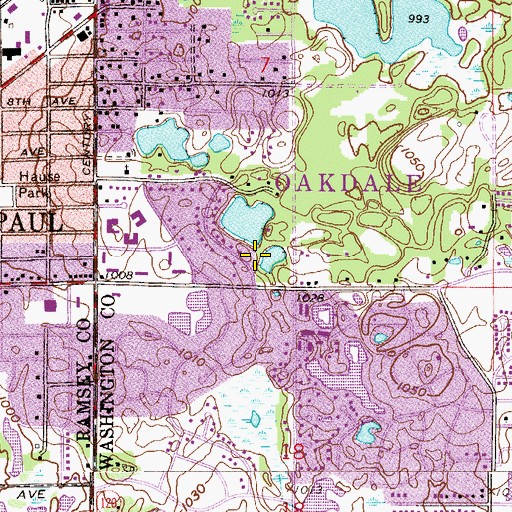 Topographic Map of Goodwin Park, MN