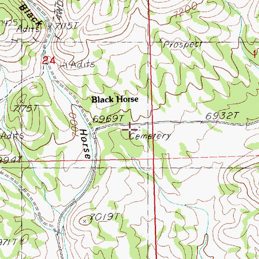 Topographic Map of Black Horse Cemetery, NV