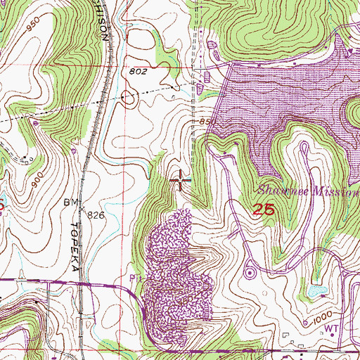 Topographic Map of The Theatre in the Park, KS