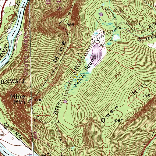 Topographic Map of Popple Swamp, CT