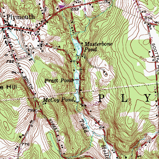 Topographic Map of Pratt Pond, CT