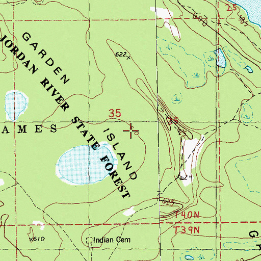 Topographic Map of Jordan River State Forest, MI