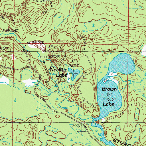 Topographic Map of Necktie Lake, MI