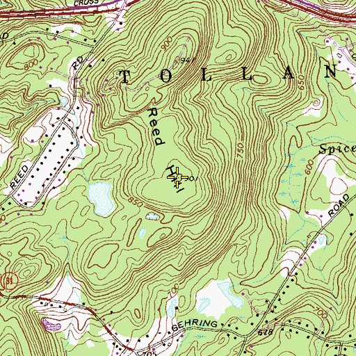 Topographic Map of Reed Hill, CT