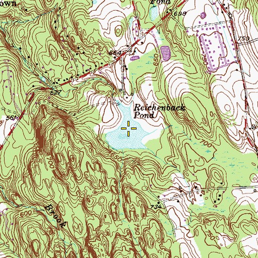 Topographic Map of Reichenback Pond, CT