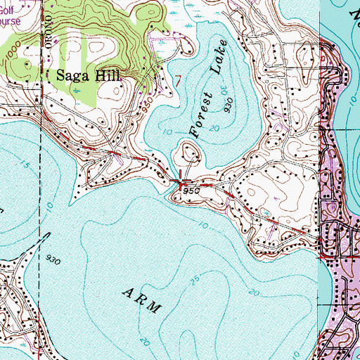 Topographic Map of Forest Lake Bridge, MN