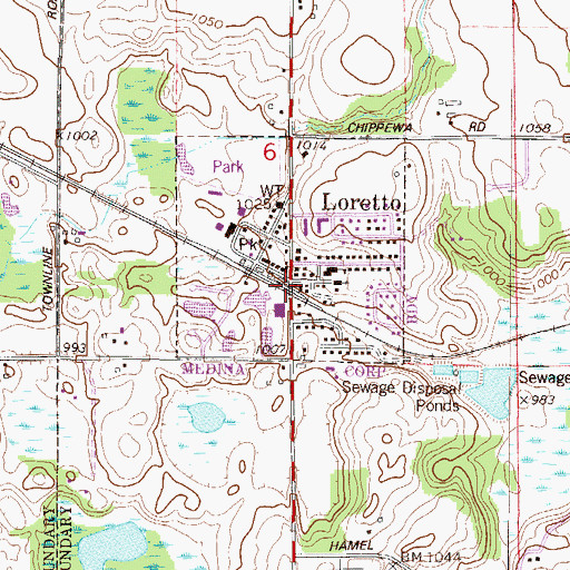 Topographic Map of Loretto Station, MN