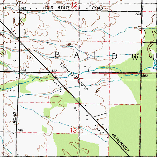 Topographic Map of Tawas Creek Golf Club, MI
