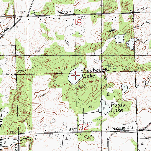 Topographic Map of Laubaugh Lake, MI