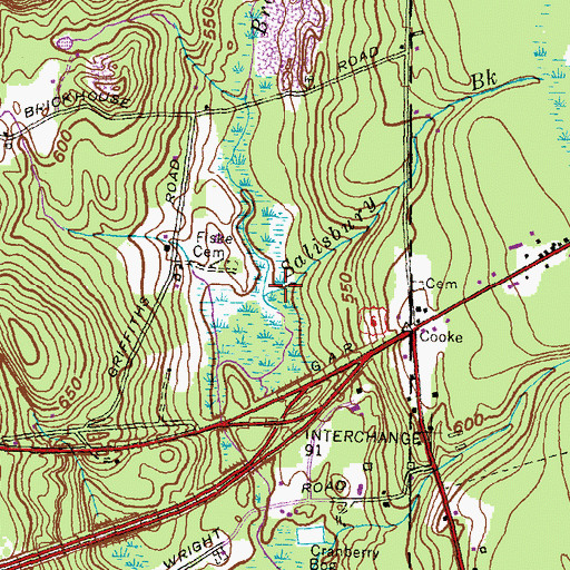 Topographic Map of Salisbury Brook, CT
