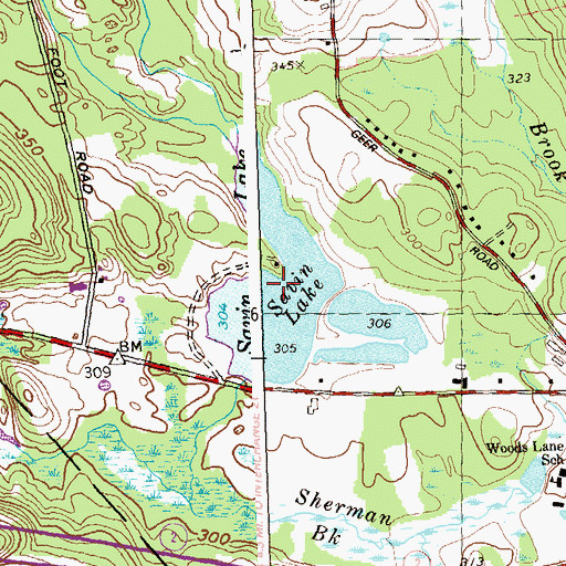 Topographic Map of Savin Lake, CT