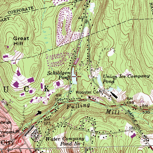 Topographic Map of Schildgen Pond, CT