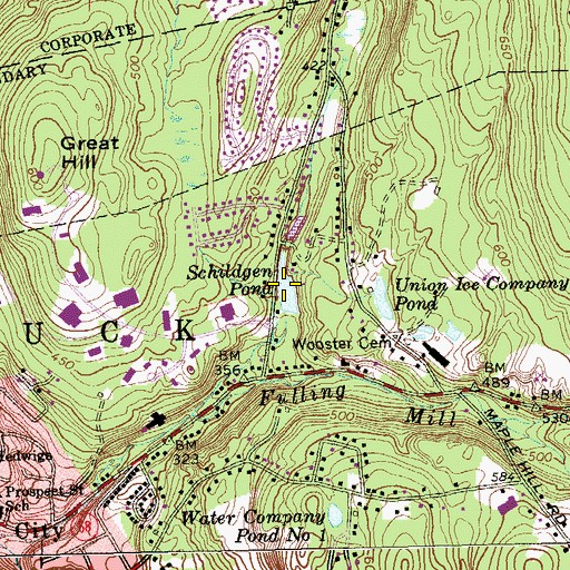 Topographic Map of Schildgen Pond, CT