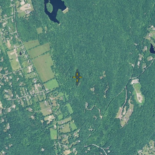 Aerial/Satellite Image of South Pond, CT
