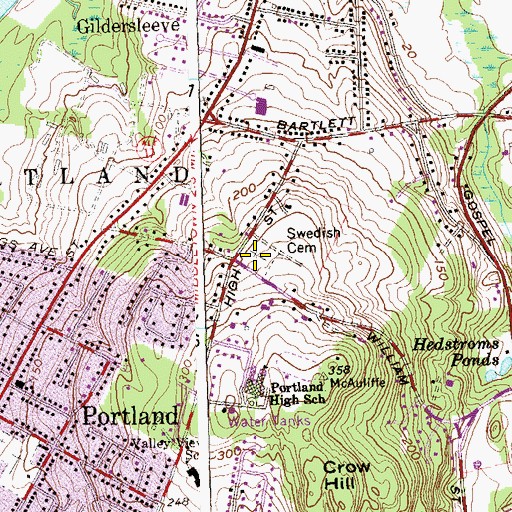 Topographic Map of Swedish Cemetery, CT