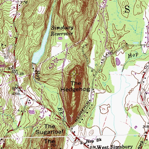 Topographic Map of The Hedgehog, CT