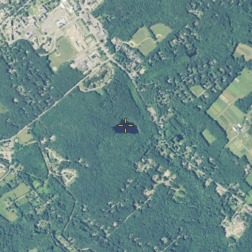 Aerial/Satellite Image of Tift Pond, CT