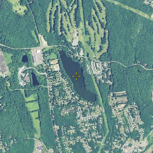 Aerial/Satellite Image of Tracys Pond, CT