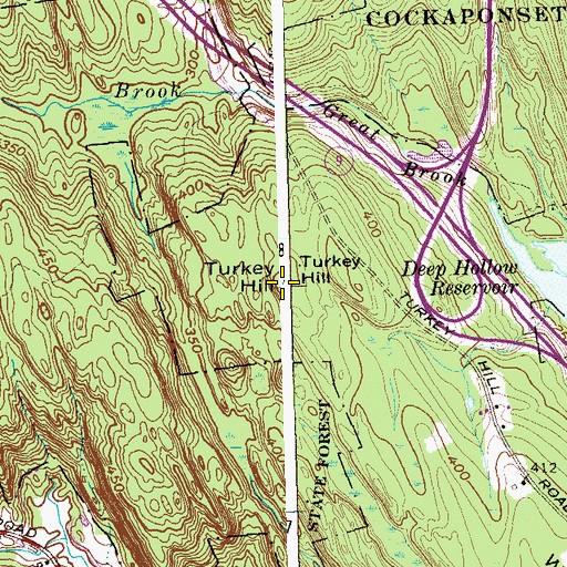 Topographic Map of Turkey Hill, CT