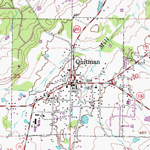 Topographic Map of Quitman Volunteer Fire Department, AR